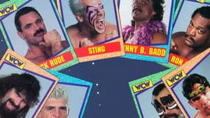 WCW Starrcade 1992 — foto 2