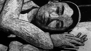 La strada dei Samouni — foto 4