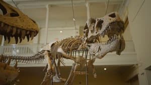 Greatest Discoveries with Dan Snow — foto 9