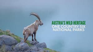 Naturerbe Österreich - Die Nationalparks — foto 1