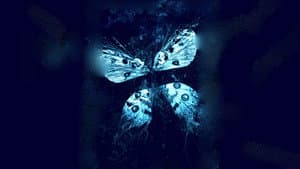 El Efecto Mariposa 3: Revelaciones — foto 2