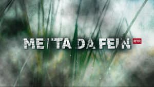 Metta da fein — foto 3