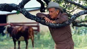 LBJ — foto 1