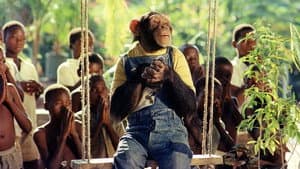 Africa Express — foto 5