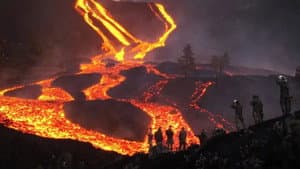 Der Vulkan von La Palma - Die Rückkehr des Lebens — foto 1
