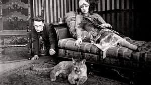 The Rajah — foto 1