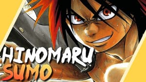 Hinomaru Sumo — foto 3