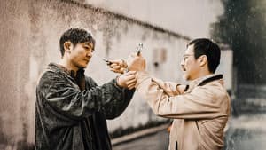 黄雀 — foto 5