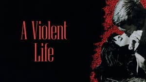 Una vita violenta — foto 4