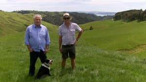 Trailblazers: The New Zealand Story — foto 5