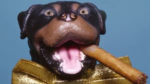 Late Night with Conan O'Brien: The Best of Triumph the Insult Comic Dog — foto 1