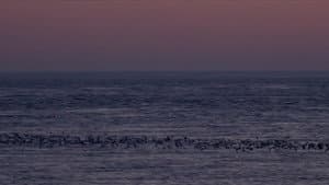 Full Circle — foto 1