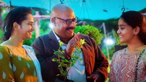 మ్యూజిక్ షాప్ మూర్తి — foto 5