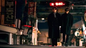 회색기류 — foto 6