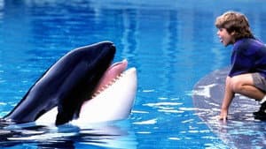 Liberen A Willy — foto 10