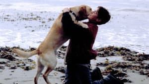 Far from Home: The Adventures of Yellow Dog — foto 4