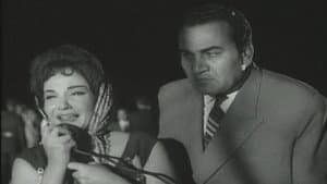 اللص والكلاب — foto 7