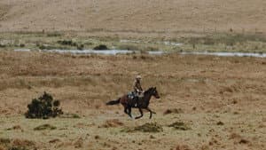 The Dartmoor Cowboy — foto 1
