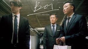 Boi — foto 2