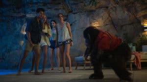 Primate — foto 11