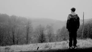 FOLK — foto 1