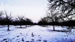 In Dreams — foto 1