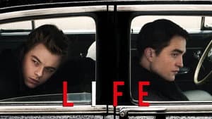 Life — foto 5