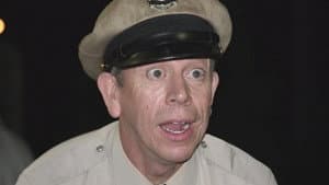 The Mayberry Effect — foto 1