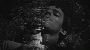 Los olvidados — foto 1