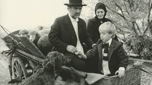 Jób lázadása — foto 2