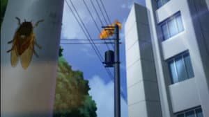 Episodio 11
