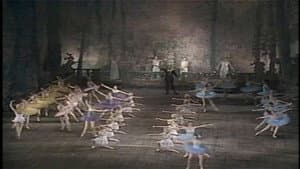 Don Quixote (Kirov Ballet) — foto 1