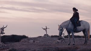 Animale — foto 6