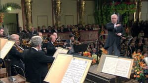 Neujahrskonzert der Wiener Philharmoniker 2009 — foto 9