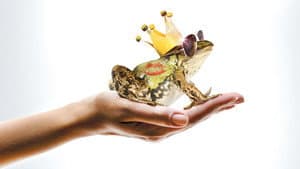 Un Prince (presque) charmant — foto 1