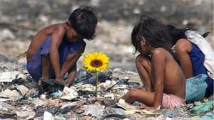 Ilha das Flores — foto 3