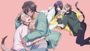 森のくまさん、冬眠中。 — foto 6