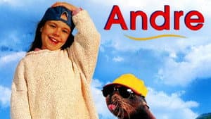 Andre — foto 4