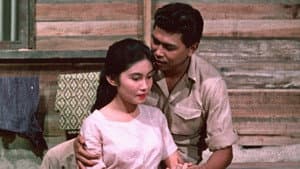 สวรรค์มืด — foto 1