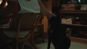 Episodio 24
