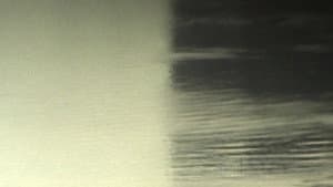 Motion — foto 1