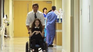 The Hollars — foto 3