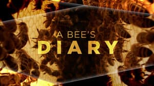 A Bee's Diary — foto 3