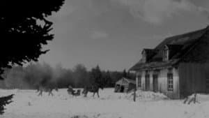 Le gros Bill — foto 1