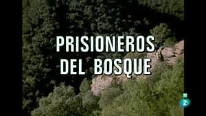 Episodio 84
