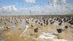 Im Licht der Sandbank — foto 1