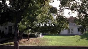 Pumpkin — foto 8
