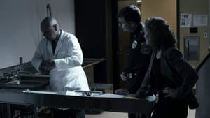 Episodio 6