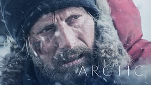 Ártico — foto 12