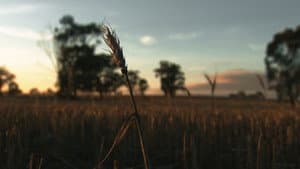 Without Water — foto 4